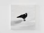 Matthieu van Riel - Black Bird, Antiek en Kunst