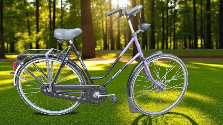 Union San REMO remnaaf Paars / Zwart Dames, Fietsen en Brommers, Fietsen | Dames | Damesfietsen, Gebruikt, Overige merken, Ophalen