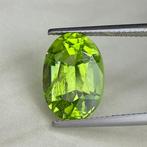 Zonder Minimumprijs Groen Olivijn - 8.71 ct - nternational, Sieraden, Tassen en Uiterlijk, Edelstenen, Nieuw