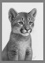 Schu - Puma cub, Antiek en Kunst, Kunst | Designobjecten