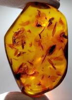 FOSSIEL-GEWELDIG!! Dominicaanse amber - 80 ct- 16 g