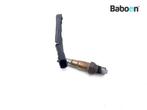 Lambda Sonde Aprilia SL 900 Shiver 2019-2021 Navi (KH001, Verzenden, Gebruikt