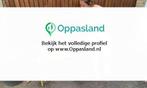 Rinske zoekt een oppas in Zwolle voor 3 kinderen voor 4 d...