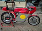 MV Agusta - Classic Racer - 250 cc - 1970, Motoren