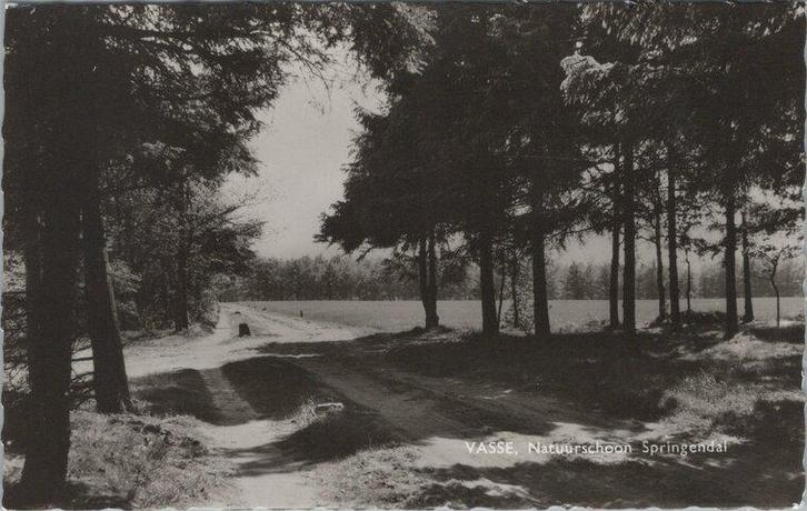VASSE - Natuurschoon Springendal, Verzamelen, Ansichtkaarten | Nederland, Verzenden