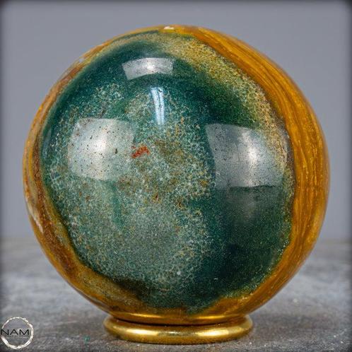 Zeldzame kleur natuurlijke oceaan jaspis Gebied- 865.79 g, Verzamelen, Dierenverzamelingen