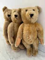 Steiff - Teddybeer 0153/43 - 1980-1990 - Duitsland, Antiek en Kunst