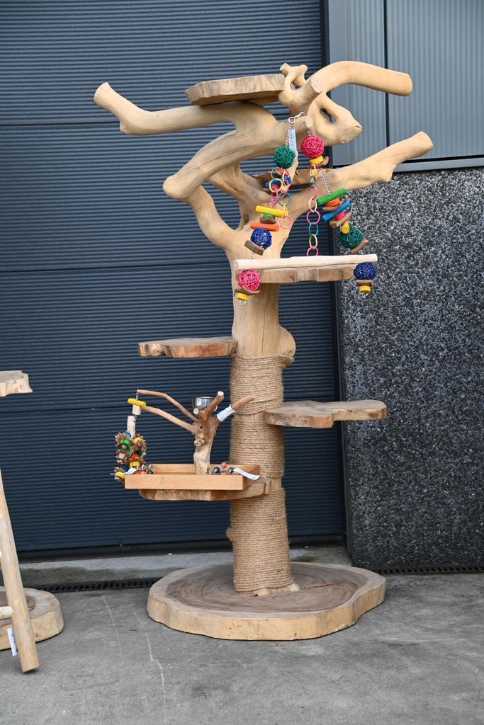 Mooie Javaboom, Dieren en Toebehoren, Vogels | Toebehoren, Speelgoed, Nieuw, Ophalen