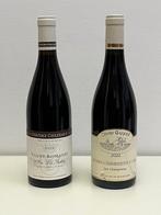 2022 Jéròme Chezeaux Vosne-Romanée Les Suchots & Olivier, Verzamelen, Nieuw