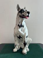 Beeld, Cane Alano - 60 cm - Keramiek, Antiek en Kunst