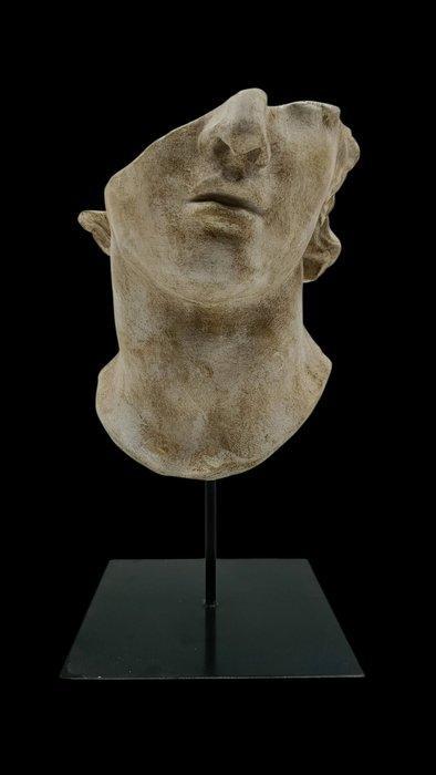 sculptuur, Mezzatesta Alessandro Magno - 37 cm - marmerstof, Antiek en Kunst, Curiosa en Brocante