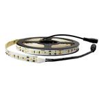 5 meter led strip IP20 24V - dim to warm - 224 leds p/m, Nieuw, Modern, Verzenden