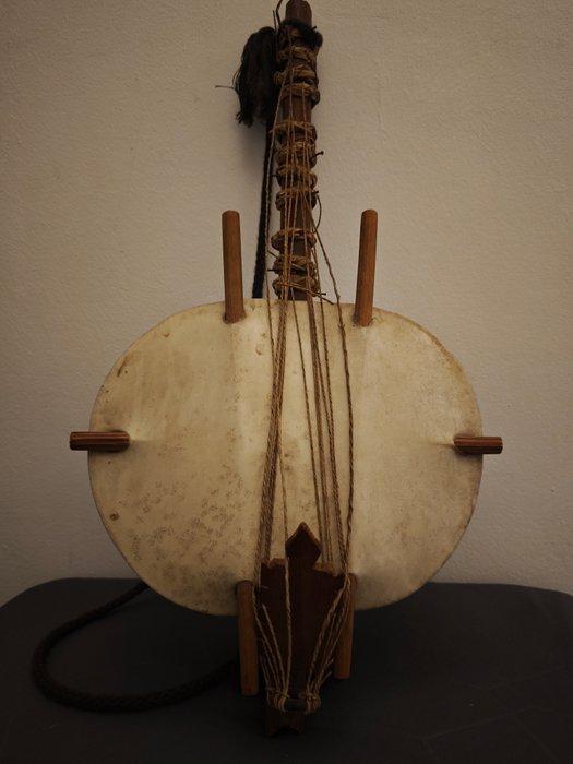 West-Afrikaans Ngoni snaarinstrument uit kalebas en, Antiek en Kunst, Kunst | Niet-Westerse kunst