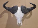 Prachtige Kaapse Buffelschedel - Taxidermie wandmontage -, Nieuw