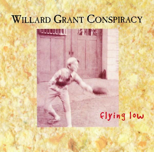 cd - Willard Grant Conspiracy - Flying Low, Cd's en Dvd's, Cd's | Overige Cd's, Zo goed als nieuw, Verzenden