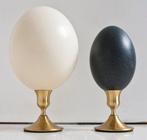 Struisvogel- en emoe-eieren Ei - Struthioniformes sp. - 23, Antiek en Kunst, Curiosa en Brocante