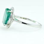 Ring Platina - 3.05ct. tw. Smaragd - Diamant - Halo, Nieuw