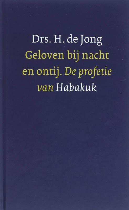 Geloven bij nacht en ontij 9789051942941 Hanneke de Jong, Boeken, Godsdienst en Theologie, Zo goed als nieuw, Verzenden