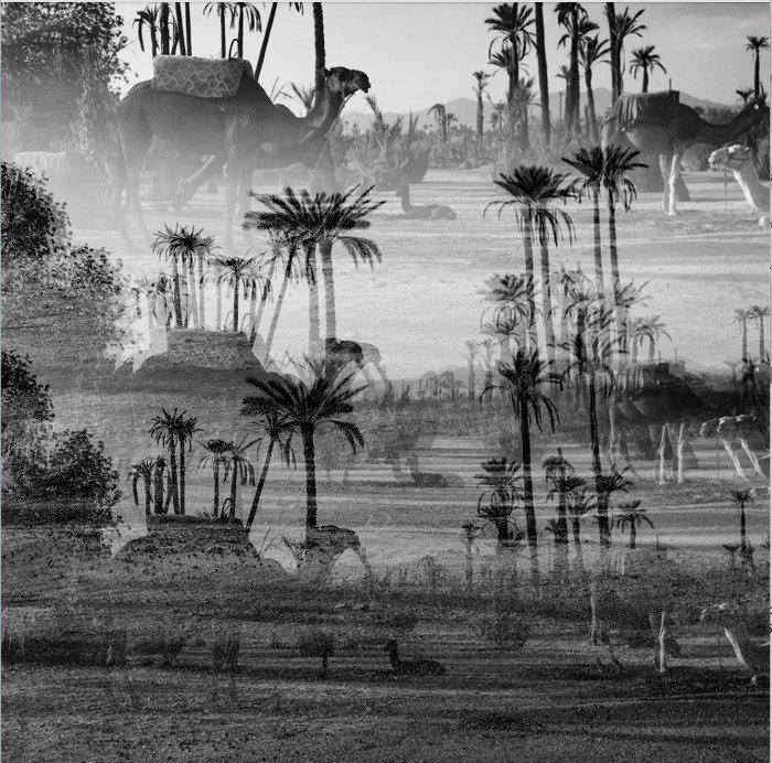 Ben Dauchez - Marrakech Multi camels, Antiek en Kunst, Kunst | Designobjecten