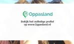 Joris zoekt een oppas in Zaandam voor 2 kinderen op dinsdag., Boeken, Nieuw