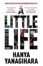Little Life 9781509818235 Hanya Yanagihara, Verzenden, Gelezen, Hanya Yanagihara