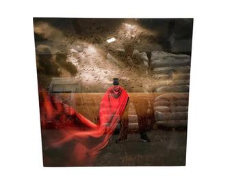 Veiling - Matthijs Smilde Plexiglas Cobra Art beschikbaar voor biedingen