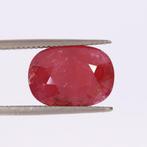 1 pcs Rood Robijn - 10.77 ct - Lotus Gemology, Nieuw