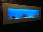 RVS Wand / muur aquaria met LED verlichting diverse kleuren, Dieren en Toebehoren, Vissen | Aquaria en Toebehoren, Nieuw, Ophalen