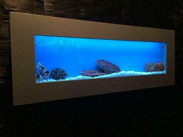 RVS Wand / muur aquaria met LED verlichting diverse kleuren beschikbaar voor biedingen