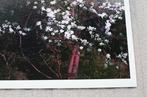 Mariska Karto - Magnolias in sunset, Antiek en Kunst