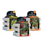 Baza Gardenbox Set Tomaten 1 set, Nieuw, Verzenden