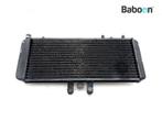 Radiateur Triumph Speed Triple 955 1997-1998 (T509, Motoren, Verzenden, Gebruikt