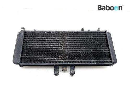 Radiateur Triumph Speed Triple 955 1997-1998 (T509, Motoren, Onderdelen | Overige, Gebruikt, Verzenden