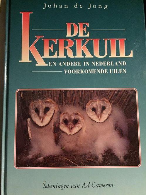 De Kerkuil 9789033010606 Johan de Jong, Boeken, Overige Boeken, Gelezen, Verzenden