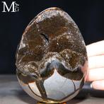 Septarian-ei met drusy kristalholte – natuurlijke gepolijste