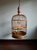 Antiek Vogelkooi - Messing - 1870s Groot H51xB31cm, Antiek en Kunst