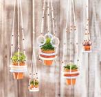 Terracotta Potjes Binnenmaat 3 cm doos 10 stuks, Ophalen of Verzenden, Nieuw