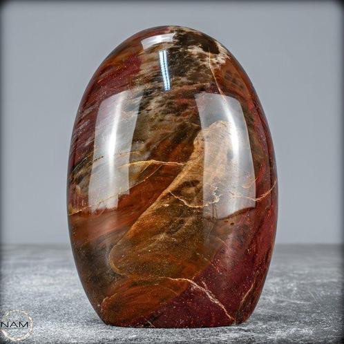 Vrije vorm van versteend hout handgepolijst- 435.17 g, Verzamelen, Mineralen en Fossielen