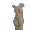 Jana Paroubec (1940-1987), Vrouwen torso op basement