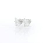 Oorbellen - 18 karaat Witgoud - 0.67ct. tw. Diamant, Sieraden, Tassen en Uiterlijk, Oorbellen, Nieuw