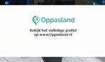 Ik ben Djansly, 19 jaar oud en ik zoek oppaswerk in Lelys...