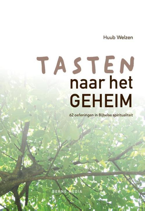 Tasten naar het geheim 9789089720993 Huub Welzen, Boeken, Godsdienst en Theologie, Zo goed als nieuw, Verzenden