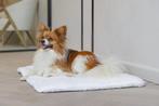 Designed by Lotte Benchkussen Ligra - Hond - Creme - 89x60x3, Ophalen of Verzenden, Zo goed als nieuw