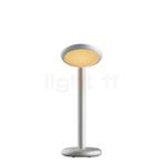 Grau Parrot Tafellamp LED, zilver (Tafellampen, Verlichting), Verzenden, Nieuw