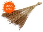 Actie Oriental fountain grass 100g mooie droogbloemen, Hobby en Vrije tijd, Knutselen, Ophalen of Verzenden, Nieuw