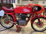 MV Agusta - Squalo 4v - 175 cc - 1952, Motoren, Motoren | Oldtimers