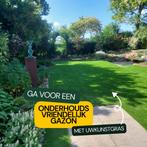 De kunstgrasspecialist van zuidwest Nederland, Ophalen of Verzenden, Nieuw, Kunstgras