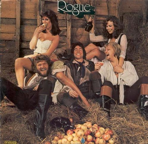 LP gebruikt - Rogue - Rogue, Cd's en Dvd's, Vinyl | Rock, Zo goed als nieuw, Verzenden