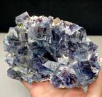 846g Topkwaliteit Yindu Eye Phantom FLUORITE Kristalcluster, Verzamelen, Mineralen en Fossielen