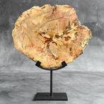 Prachtig stuk versteend hout op een op maat gemaakte, Antiek en Kunst
